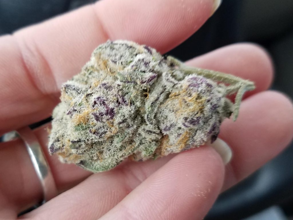 Animal Mintz Marijuana Strain