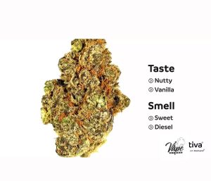 Animal Mintz Marijuana Strain