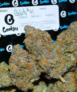 Buy Gelato 41 Weed