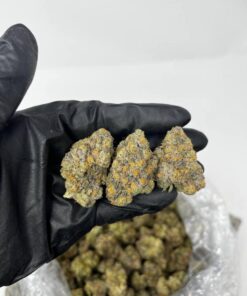 Alternative view of Buy Gelato 41 Weed