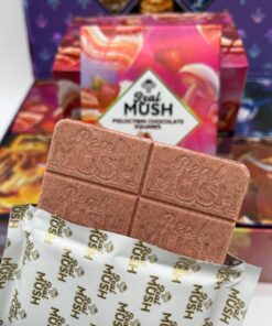 Alternative view of REAL MUSH PSILOCYBIN 4 GRAMS CHOCOLATE SQUARES
