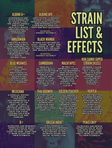 Magic Truffles Chocolate Bars