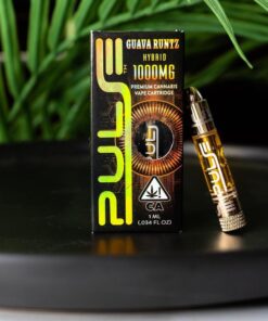 PULSE CARTRIDGE – 1000MG