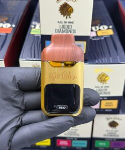 BIG CHIEF DUO V2 DISPOSABLE—2G